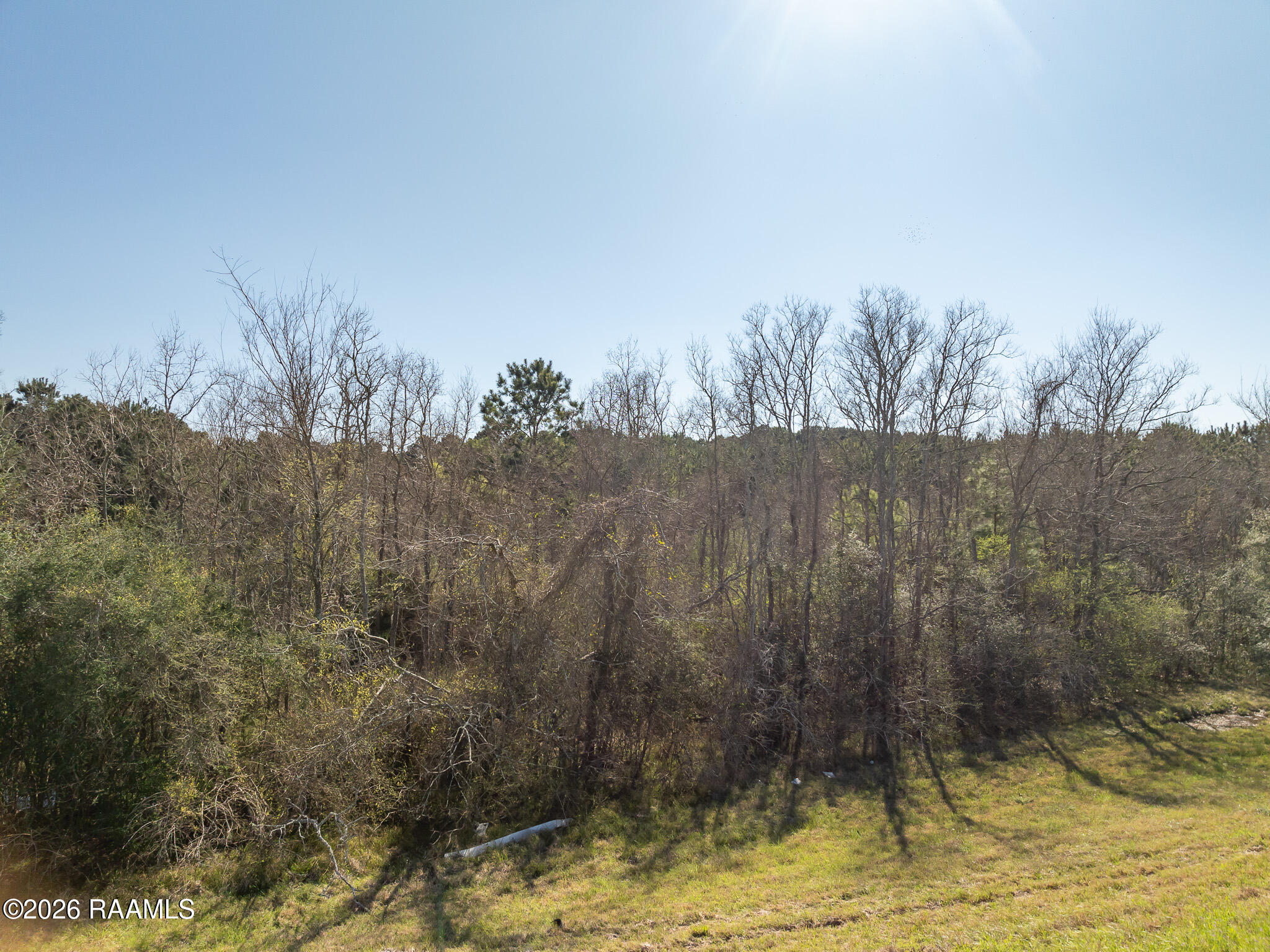 0 Plant Road Egan, LA 70531 - Photo 21 of 22 DJI_0854