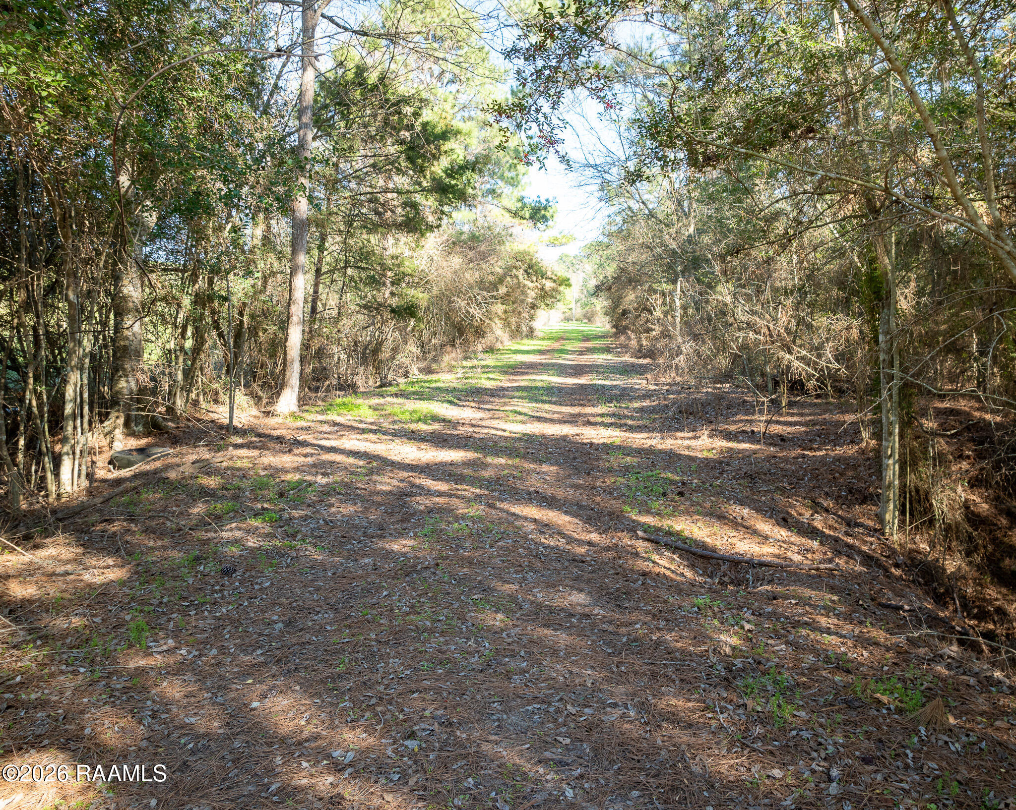0 Plant Road Egan, LA 70531 - Photo 4 of 22 DJI_0855
