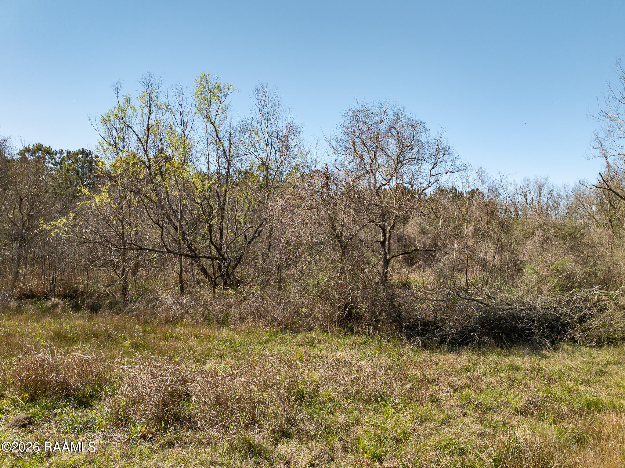 0 Plant Road Egan, LA 70531 - Photo 6 of 22 DJI_0856