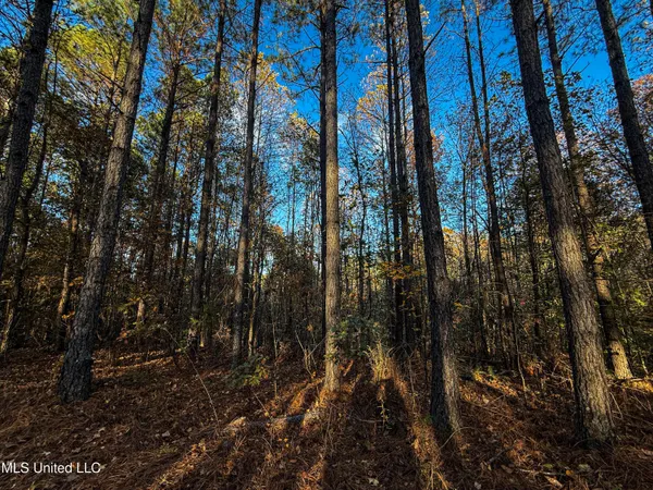 $529,000 | 2075 County Road 180, New Albany, MS 38652