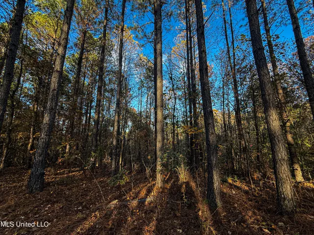 $529,000 | 2075 County Road 180, New Albany, MS 38652