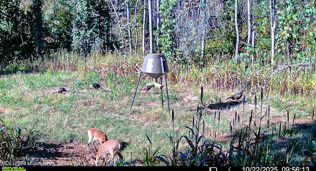 $529,000 | 2075 County Road 180, New Albany, MS 38652