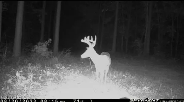 $529,000 | 2075 County Road 180, New Albany, MS 38652