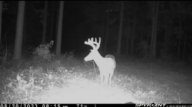 $529,000 | 2075 County Road 180, New Albany, MS 38652