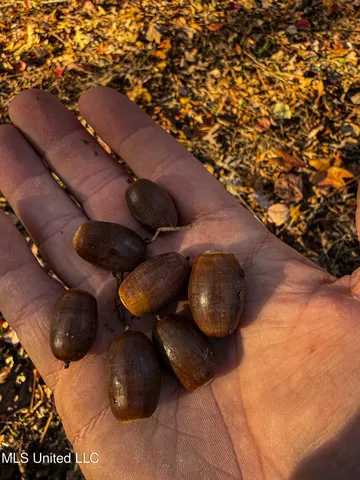 $529,000 | 2075 County Road 180, New Albany, MS 38652