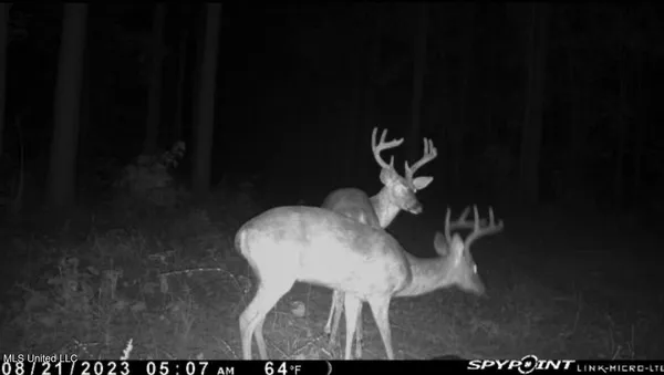 $529,000 | 2075 County Road 180, New Albany, MS 38652