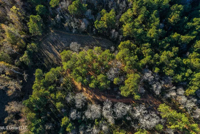 $529,000 | 2075 County Road 180, New Albany, MS 38652