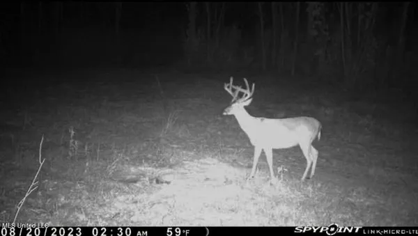 $529,000 | 2075 County Road 180, New Albany, MS 38652