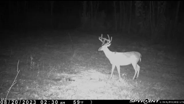 $529,000 | 2075 County Road 180, New Albany, MS 38652