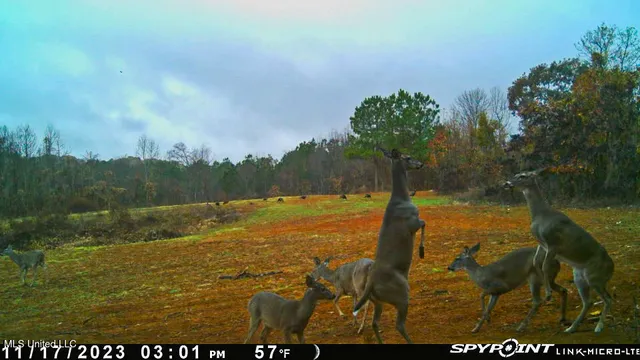 $529,000 | 2075 County Road 180, New Albany, MS 38652