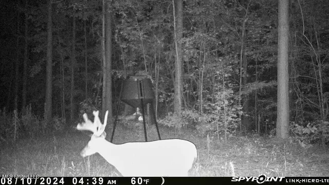 $529,000 | 2075 County Road 180, New Albany, MS 38652