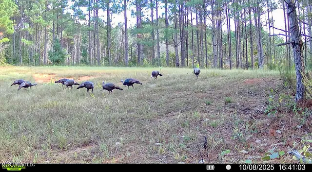 $529,000 | 2075 County Road 180, New Albany, MS 38652