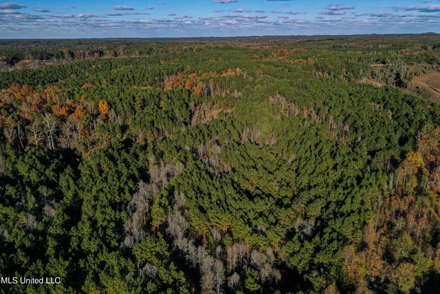 $529,000 | 2075 County Road 180, New Albany, MS 38652