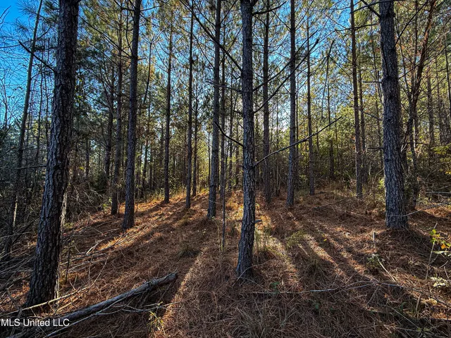 $529,000 | 2075 County Road 180, New Albany, MS 38652