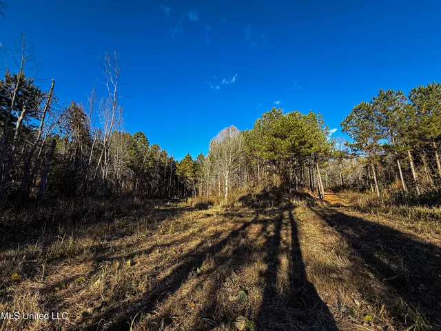 $529,000 | 2075 County Road 180, New Albany, MS 38652