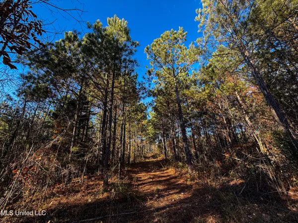 $529,000 | 2075 County Road 180, New Albany, MS 38652