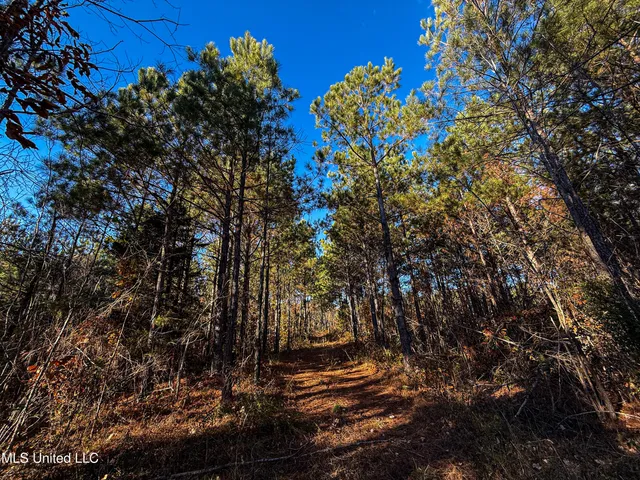 $529,000 | 2075 County Road 180, New Albany, MS 38652