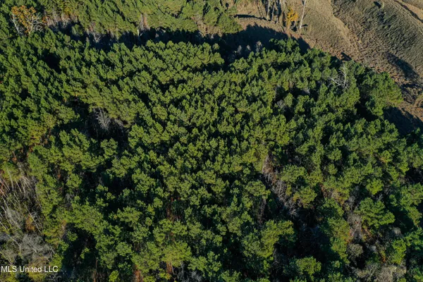 $529,000 | 2075 County Road 180, New Albany, MS 38652