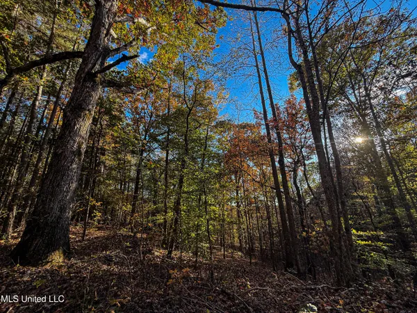 $529,000 | 2075 County Road 180, New Albany, MS 38652