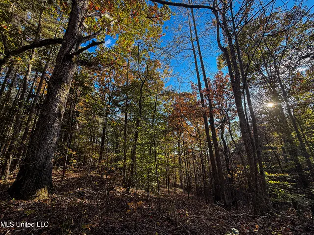 $529,000 | 2075 County Road 180, New Albany, MS 38652