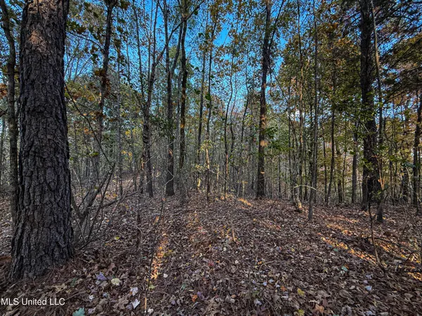 $529,000 | 2075 County Road 180, New Albany, MS 38652