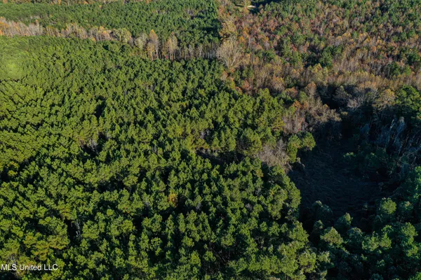 $529,000 | 2075 County Road 180, New Albany, MS 38652