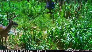 $529,000 | 2075 County Road 180, New Albany, MS 38652