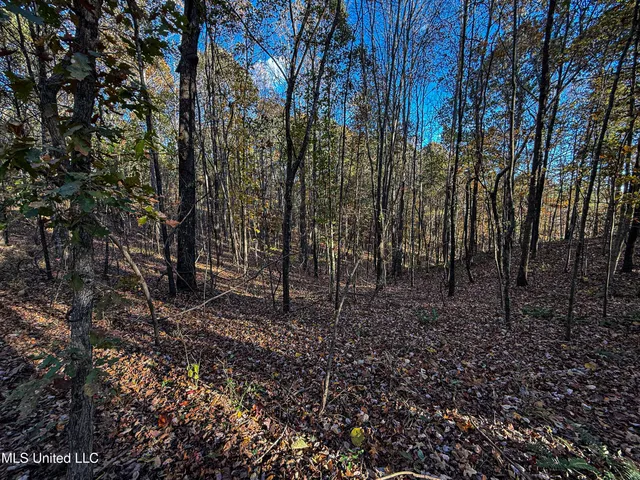 $529,000 | 2075 County Road 180, New Albany, MS 38652