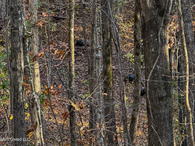 $529,000 | 2075 County Road 180, New Albany, MS 38652