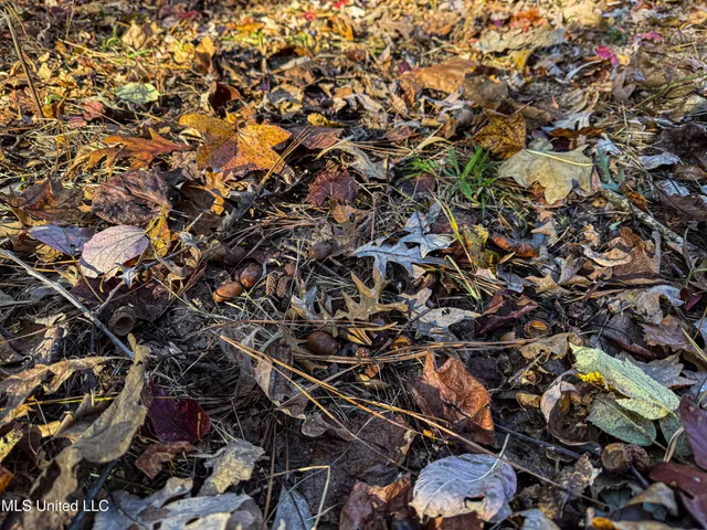 $529,000 | 2075 County Road 180, New Albany, MS 38652