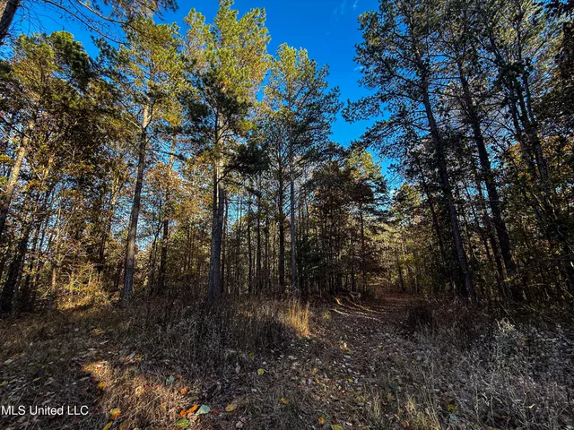 $529,000 | 2075 County Road 180, New Albany, MS 38652