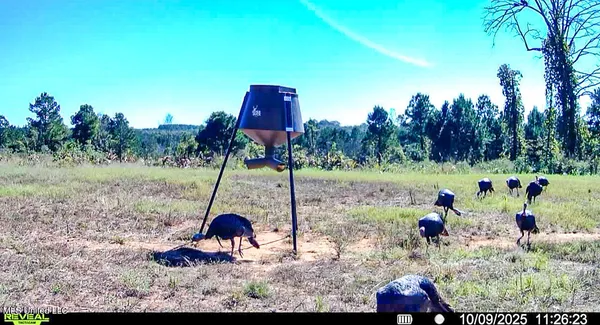 $529,000 | 2075 County Road 180, New Albany, MS 38652