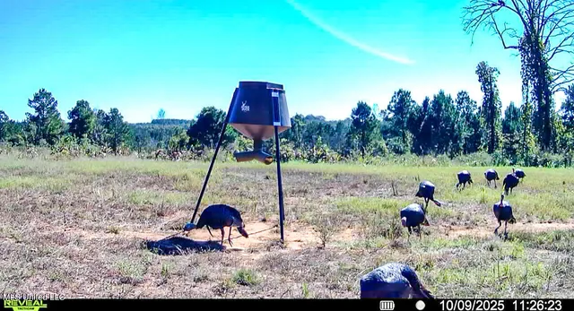 $529,000 | 2075 County Road 180, New Albany, MS 38652