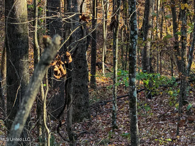 $529,000 | 2075 County Road 180, New Albany, MS 38652