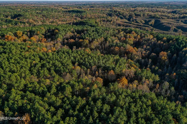 $529,000 | 2075 County Road 180, New Albany, MS 38652