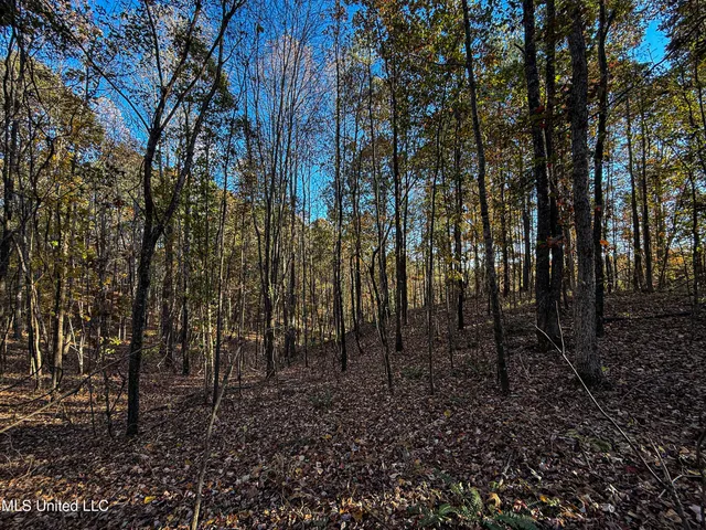 $529,000 | 2075 County Road 180, New Albany, MS 38652