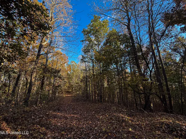 $529,000 | 2075 County Road 180, New Albany, MS 38652