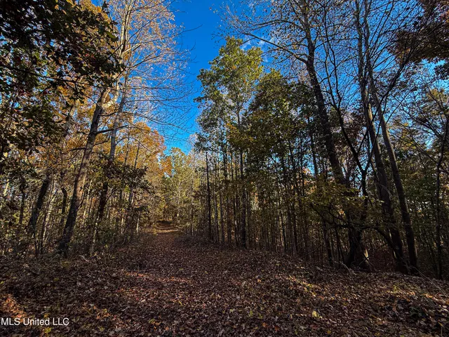 $529,000 | 2075 County Road 180, New Albany, MS 38652