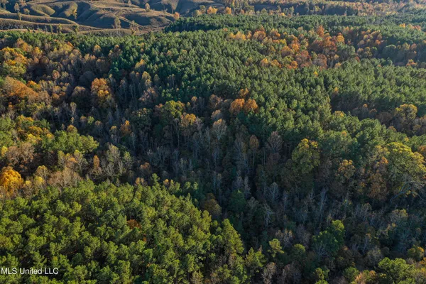 $529,000 | 2075 County Road 180, New Albany, MS 38652