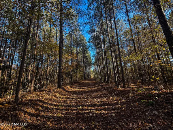 $529,000 | 2075 County Road 180, New Albany, MS 38652