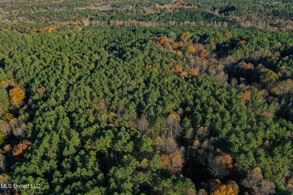 $529,000 | 2075 County Road 180, New Albany, MS 38652