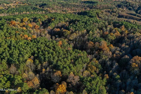 $529,000 | 2075 County Road 180, New Albany, MS 38652