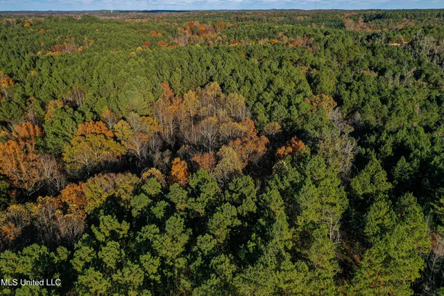 $529,000 | 2075 County Road 180, New Albany, MS 38652