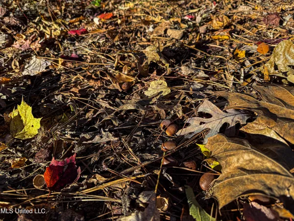 $529,000 | 2075 County Road 180, New Albany, MS 38652