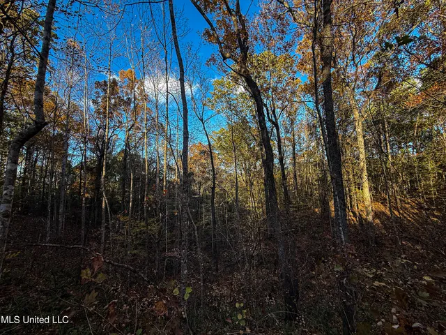 $529,000 | 2075 County Road 180, New Albany, MS 38652