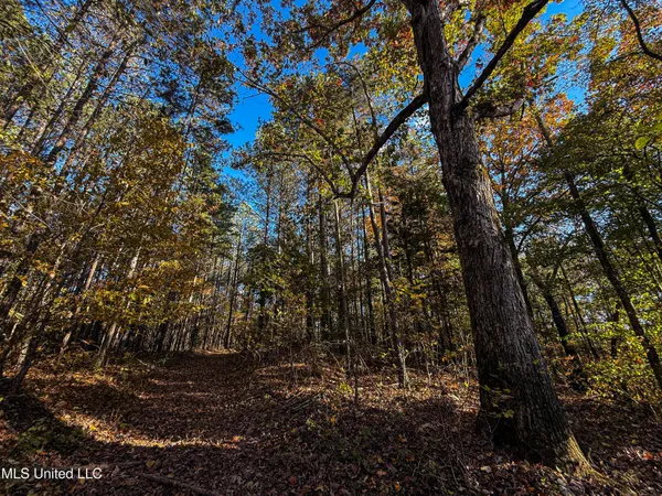 $529,000 | 2075 County Road 180, New Albany, MS 38652