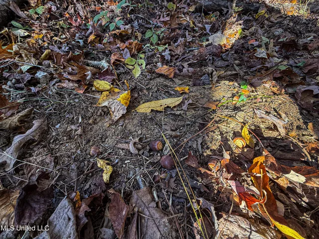 $529,000 | 2075 County Road 180, New Albany, MS 38652