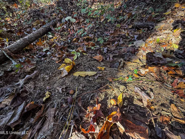 $529,000 | 2075 County Road 180, New Albany, MS 38652