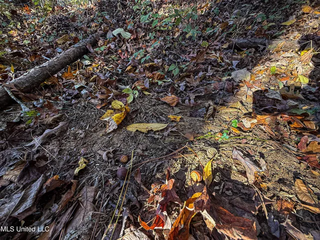 $529,000 | 2075 County Road 180, New Albany, MS 38652