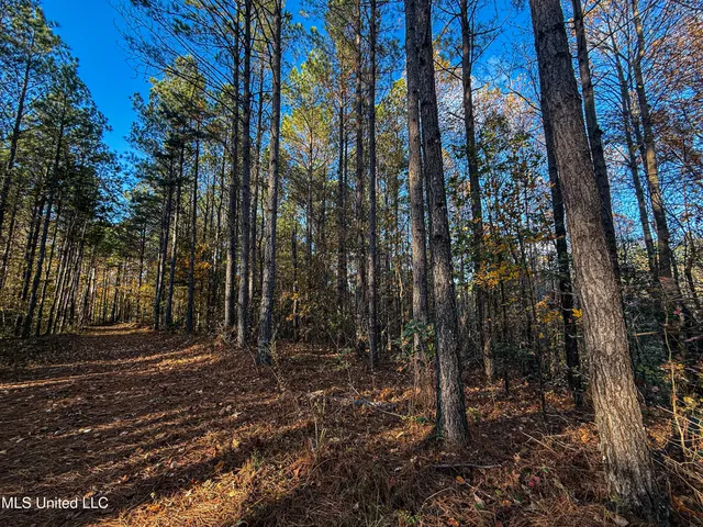 $529,000 | 2075 County Road 180, New Albany, MS 38652